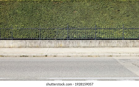 House fence consisting of a high hedge, a black metal railing and a low concrete wall. Cement sidewalk and asphalt street in front. Background for copy space