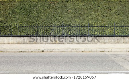 House fence consisting of a high hedge, a black metal railing and a low concrete wall. Cement sidewalk and asphalt street in front. Background for copy space