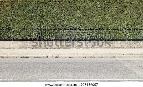 House fence consisting of a\
high hedge, a black metal railing and a low concrete wall. Cement\
sidewalk and asphalt street in front. Background for copy\
space