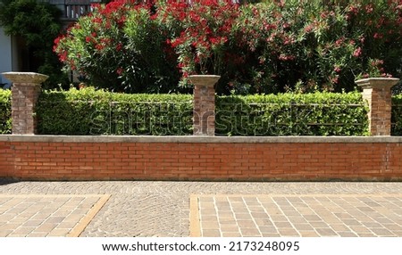 Similar – Image, Stock Photo Blooming evergreen in front of a brick wall