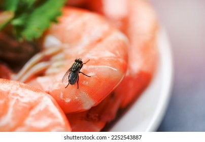 house flies on shrimp the dirty food contamination hygiene concept. fly on food - Shutterstock ID 2252543887