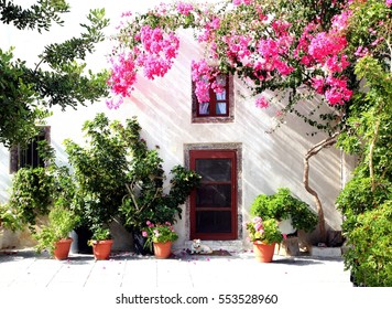 House And Flowers In Santorini Island, Greece