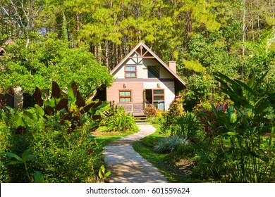 House In The Forest
