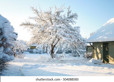 House and garden trees covered in snow on a cold, sunny winters day with clear, blue, azure skies