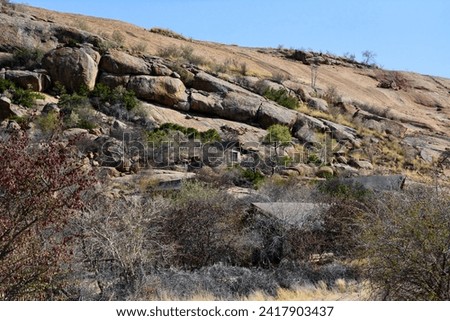 A house has been built behind the dry trees and bushes under a rocky mountain. A good place for seclusion and relaxation. Global warming and dry climate