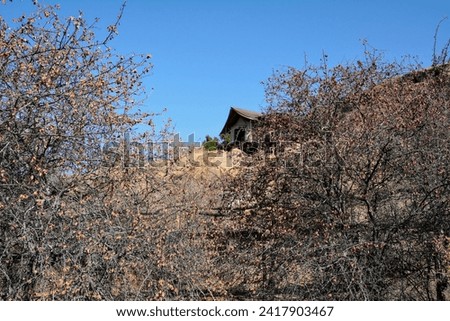 A house has been built behind the dry trees and bushes on the hill. A good place for seclusion and relaxation. Global warming and dry climate