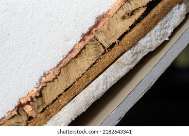 House Insulation Layers, Styrofoam, Polyurethane Foam, Wood, Drywall