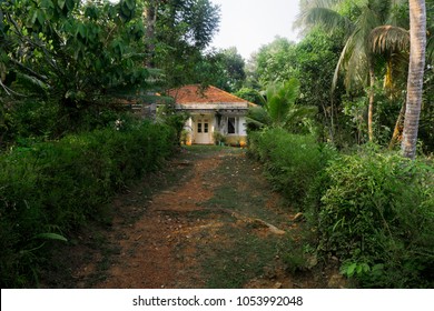 House In The Jungle