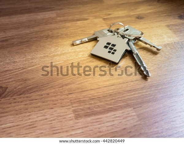 House Keys On Wood Table Color Stock Photo 442820449 | Shutterstock