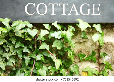 House Nameplate Among The Leaf Of Tree.