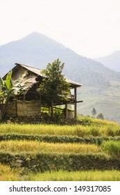 House on the terraces field in northern Vietnam