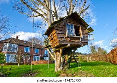 House On The Tree