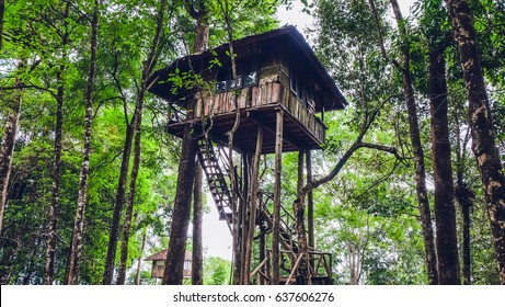 House On A Tree  