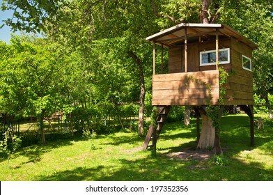 House On Tree In Evening Garden 