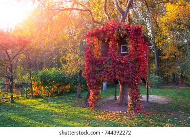 A house on a tree overgrown with red vine in an autumn garden in sunset time - Powered by Shutterstock