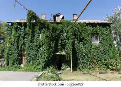 House Is Overgrown With Green Ivy In Samara. House Covered With Green Plant Of Grape