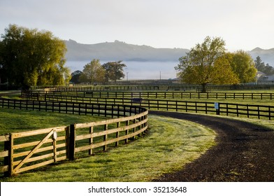 House in paddock with fog and sunrise