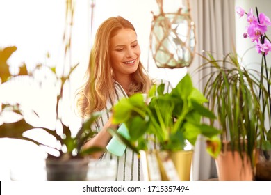 House Plants Need Attention, Young Woman Spraying Water On The Plants That Are Inside The House