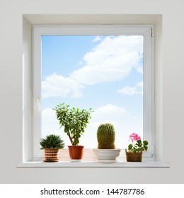 House Plants On The Windowsill. Spring.