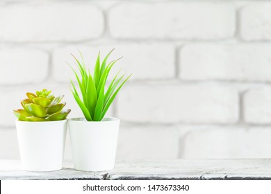 House plants in pots on white table at white brick wall with objects