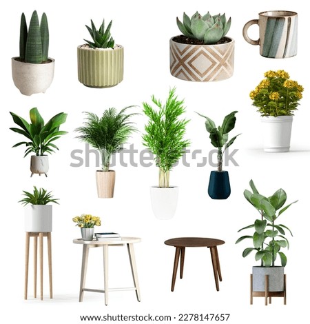 House plants in a stylish interior of a room at home in pots. The concept of home gardening. 