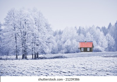 House With Red Roof Among Trees In Frost. Winter Scene.