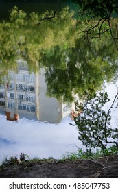 house in the reflection in the park