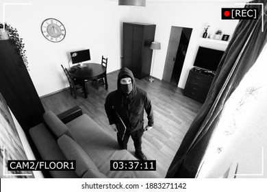 house robbery - burglar captured on surveillance security camera in living room