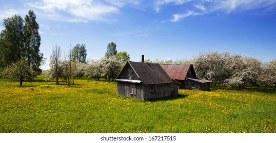 the house (spring)  