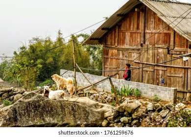 House In A Traditional Village, Meeting The Ethnic Minorities Of North Vietnam, Silhouette Of Child With Dogs