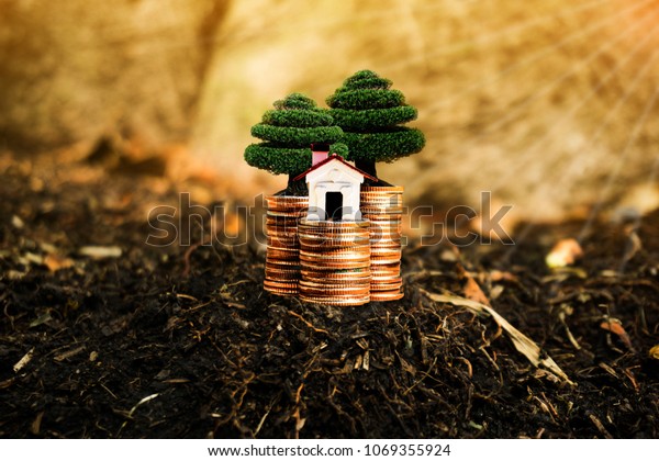 House, trees and coins on nature background present\
compare the savings with tree planting. or savings to buy a home or\
real estate. Or show divide the investment. Or for the future\
Concept of money