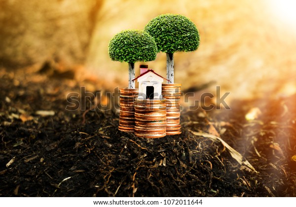 House, trees and coins on nature background present\
compare the savings with tree planting. or savings to buy a home or\
real estate. Or show divide the investment. Or for the future\
Concept of money