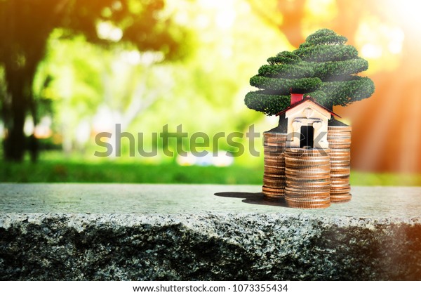 House, trees and coins on nature background and\
sunlight present compare the savings with tree planting. or savings\
to buy a house. Or show divide the investment. Or for the future\
Concept of money