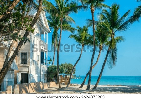House with view on the ocean, palm trees on the beach, scenic landscape in Key West, Florida