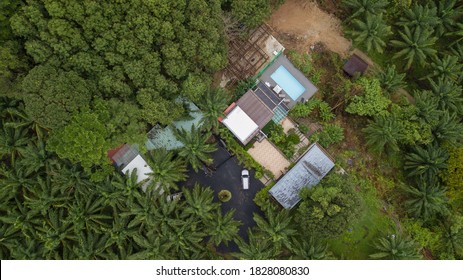 House Villa Resort In Green Forest Wild With Mountain Drone View Shot