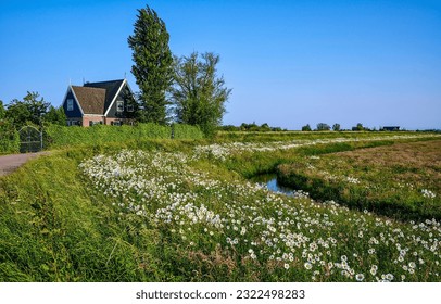 A house in the village by the river. Rural house in clear day. Country house in summer meadow. Meadow grass around countryside house - Shutterstock ID 2322498283