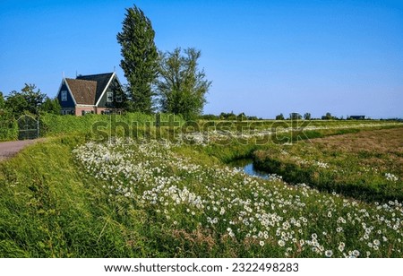 A house in the village by the river. Rural house in clear day. Country house in summer meadow. Meadow grass around countryside house