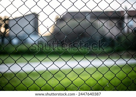 A house is visible through a chain link fence, creating a dynamic contrast between the manmade barrier and the natural world beyond.