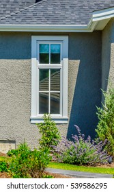 House window.