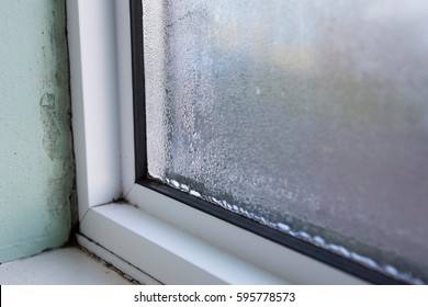 House Window With Damp And Condensation