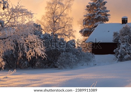 House in wintry weather in northern Scandinavia. Swedish winter weather.