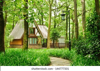 The House In The Woods