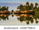 Houseboats moored at dawn after the overnight stay on the popular backwater cruise, alappuzha (alleppey), kerala, india, asia