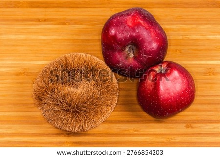 Household kitchen scraper of the toroidal form with natural bristles of coconut fiber for cookware and fruits cleaning lie on a cutting board against the harvested red apples 