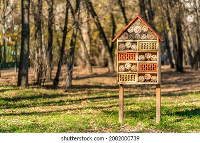 House-Hotel for insects made of wood and clay in a park