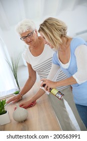 Housekeeper Cleaning Elderly Woman's Home