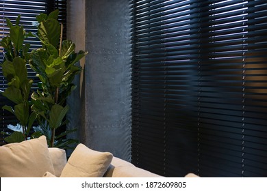 A houseplant is near black wood blinds. Closeup on the window in the interior. Coulisse wooden slats 50mm wide. Venetian blinds closed in the living room. Sand color sofa is near the window.