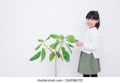 Houseplants And 3rd Grade Girls