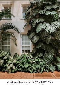 Houseplants Botanical Garden Maryland Nature 