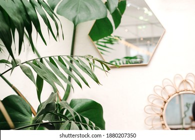 6,477 Sustainable interior design Images, Stock Photos & Vectors ...